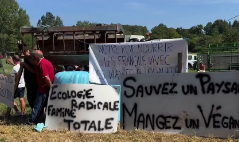 L’université d’été d’Aymeric Caron bloquée par des agriculteurs affilés à la FNSEA