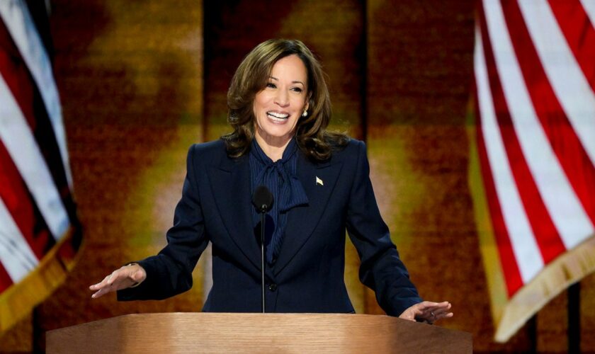 Kamala Harris’ style-over-substance campaign praised by journalists: ‘It’s a vibes election’