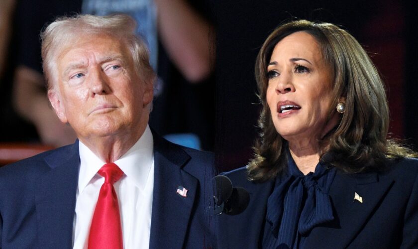 'Weak-on-crime liberal': Trump campaign hits back after Harris blames him for 'violent crime wave'