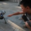 A child plays with a robot dog in China