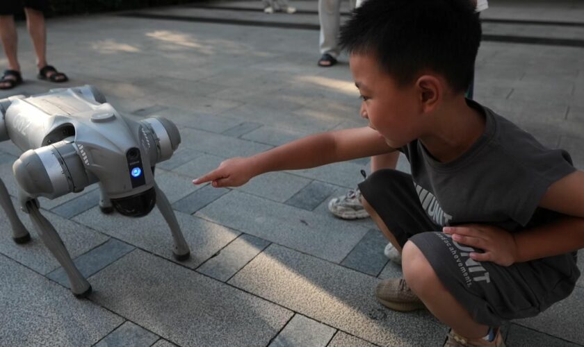 A child plays with a robot dog in China