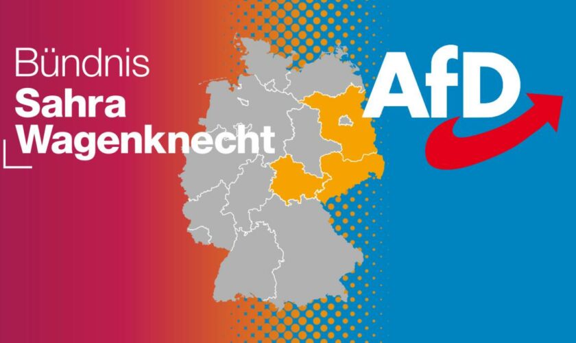 Regierungsbildung im Osten? So stehen die Deutschen zur Zusammenarbeit mit AfD oder BSW