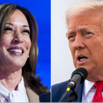 2024 showdown: What happens next in the Kamala Harris-Donald Trump face-off