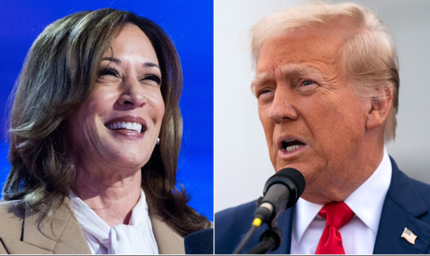 2024 showdown: What happens next in the Kamala Harris-Donald Trump face-off