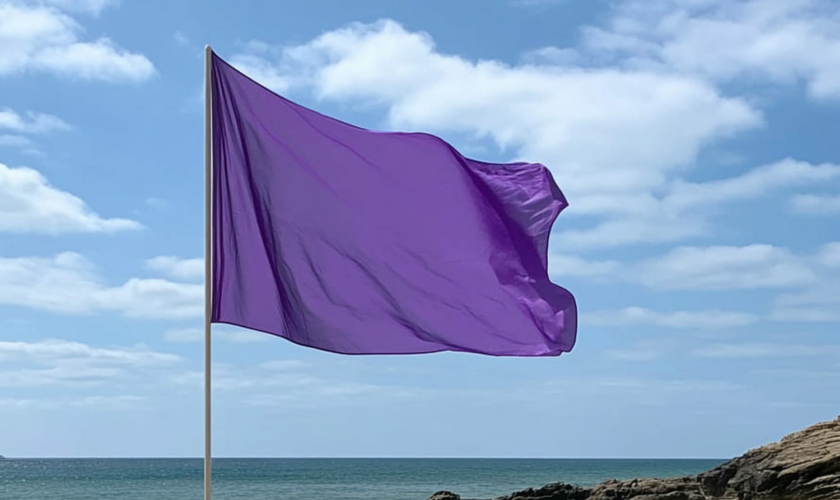 Se baigner est vivement déconseillé si ce drapeau flotte à la plage, mais très peu de gens savent ce qu'il signifie