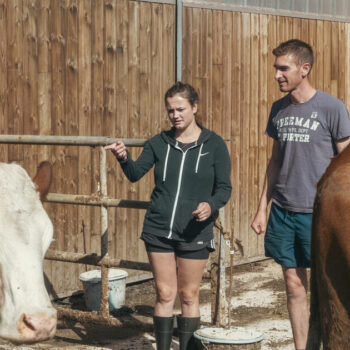 Des jeunes agriculteurs en vacances, une guinguette mobile dans le Grand-Est, une centrale solaire géante… 10 articles qui nous ont réconfortés cette semaine