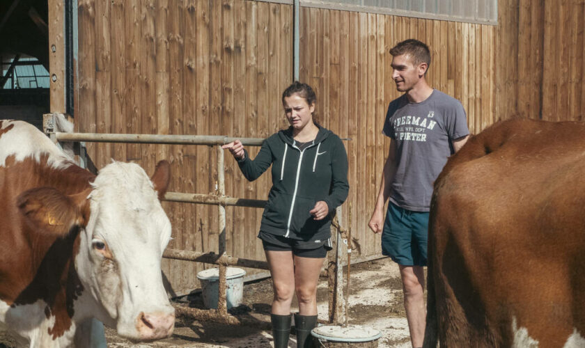 Des jeunes agriculteurs en vacances, une guinguette mobile dans le Grand-Est, une centrale solaire géante… 10 articles qui nous ont réconfortés cette semaine