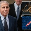 Fauci hospitalized after testing positive for West Nile virus, now recovering at home