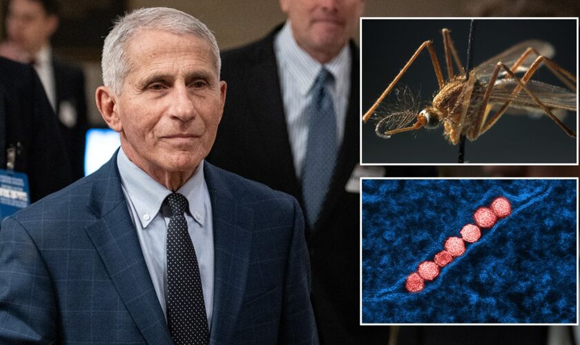 Fauci hospitalized after testing positive for West Nile virus, now recovering at home