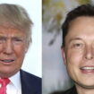 Elon Musk futur ministre de Donald Trump ? L'ancien président américain pourrait lui confier un poste