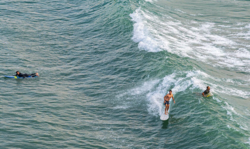 Le long de la côte basque, au royaume des surfeurs