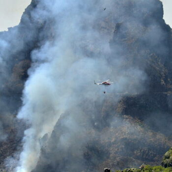 Le Portugal appelle à l’aide en raison d’un incendie dévastateur sur l’île touristique de Madère