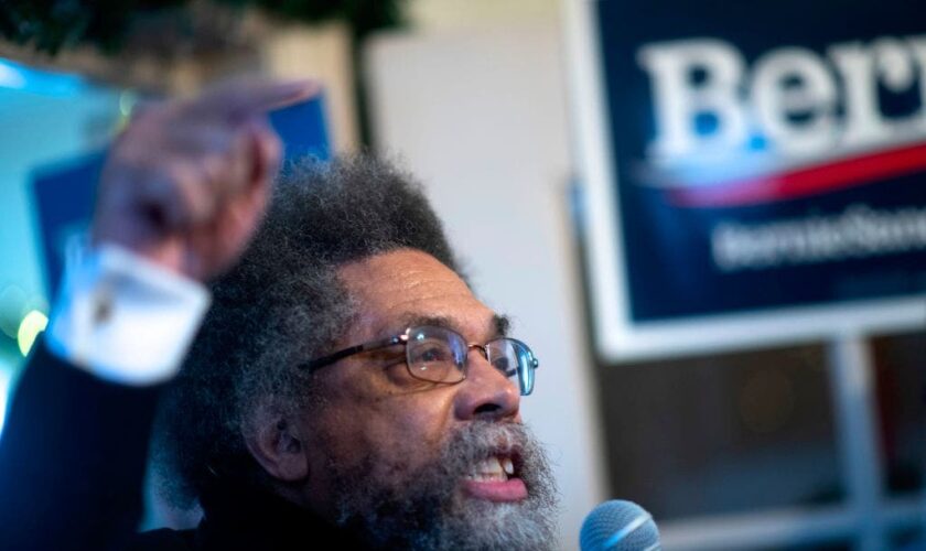 Cornel West must appear on Michigan ballot, judge says