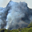 Incendie à Madère : l’UE envoie deux avions Canadair