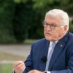 Steinmeier warnt vor politischer Attacke auf die Demokratie