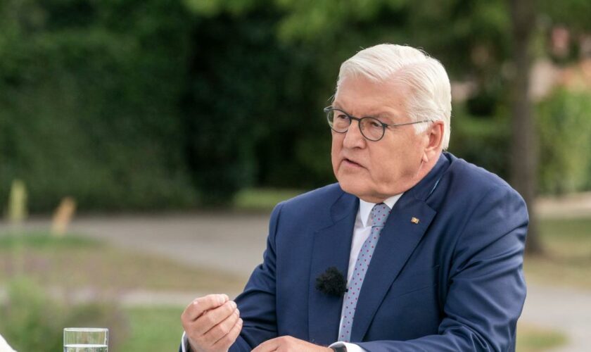 Steinmeier warnt vor politischer Attacke auf die Demokratie