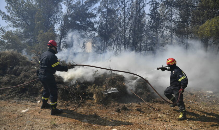 Incendies dans l'Hérault : le feu fixé à Frontignan, un autre progresse encore