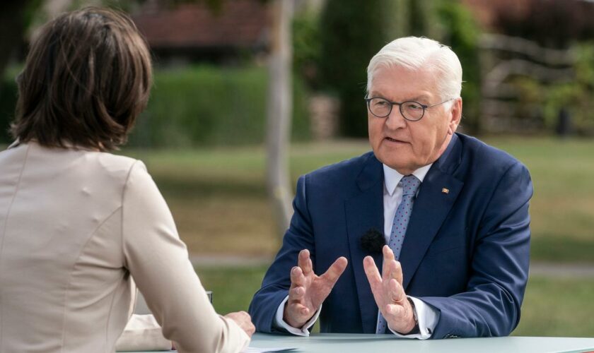 Messerangriff in Solingen: Bundespräsident regt mehr Befugnisse für Sicherheitsbehörden an