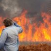 Tausende Brände im Südosten Brasiliens – 15.000 Helfer im Einsatz