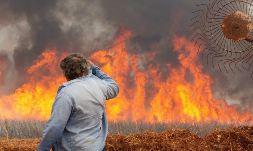 Tausende Brände im Südosten Brasiliens – 15.000 Helfer im Einsatz