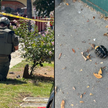 California gardener finds 4 Russian-style grenades in bushes near Los Angeles