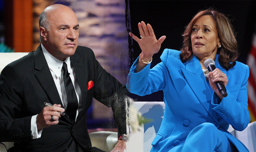 'Shark Tank's' Kevin O'Leary says Harris needs to stop hiding from press: 'Come out wherever you are'