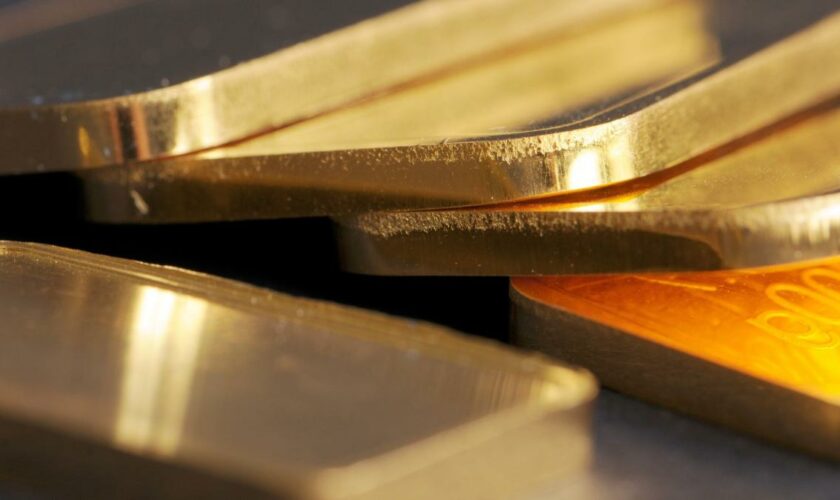 Russischer Zoll fasst Deutschen (58) mit 13 Kilogramm Gold