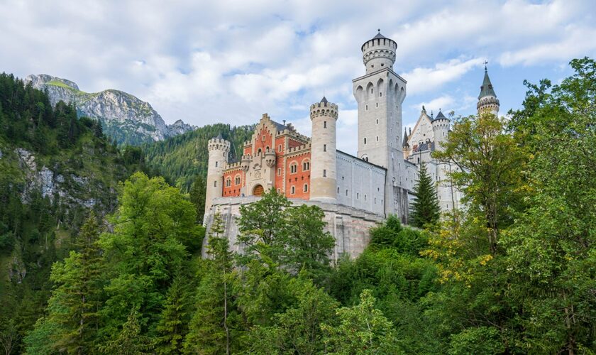 Czech star gymnast dies after falling over 200 feet from mountain while attempting to take selfie: report