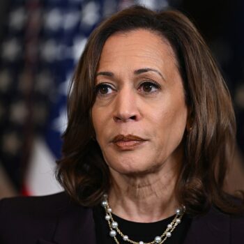 Ex-Obama official predicts Harris will seek new Iran nuclear deal: 'Has to be the goal'