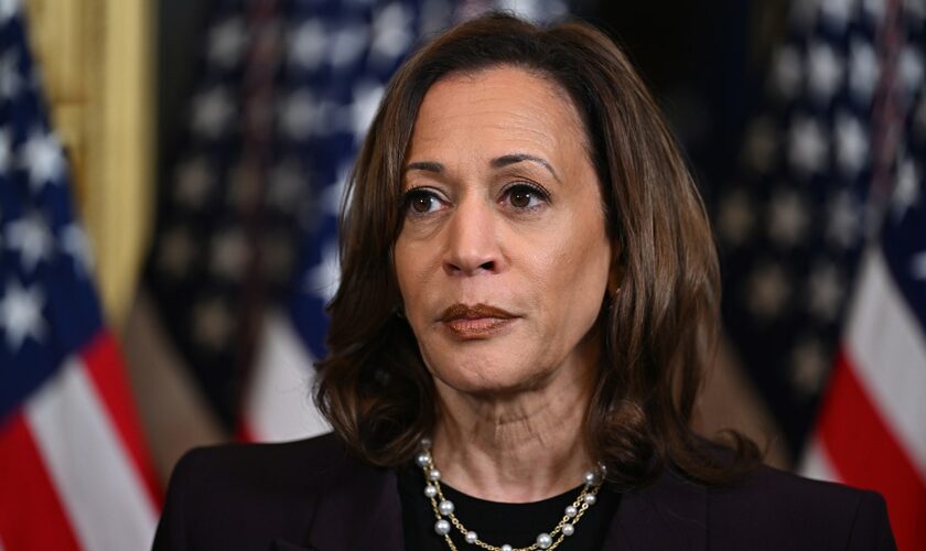 Ex-Obama official predicts Harris will seek new Iran nuclear deal: 'Has to be the goal'