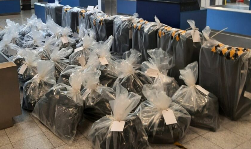 Couriers walk through customs with cases full of cannabis after being duped by traffickers