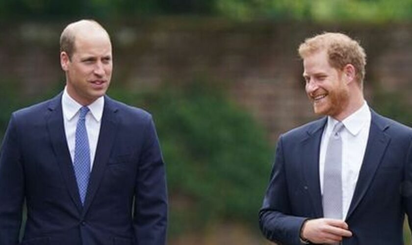 Prince William and Prince Harry