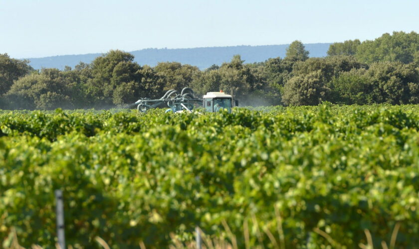 Plus de 100 nouveaux pesticides autorisés en France, la liste des produits concernés est longue