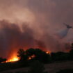 Incendies en Grèce : privée de ses arbres, Athènes menacée par la pollution et les inondations