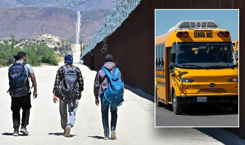 Migrant groups attempt to board school buses in California: report