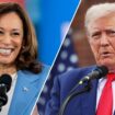 Political analyst: New polls show Harris 'not ahead' of Trump, campaign could be in ‘scary place’ soon