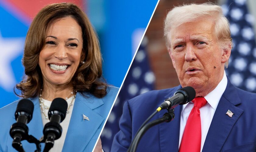 Political analyst: New polls show Harris 'not ahead' of Trump, campaign could be in ‘scary place’ soon