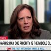 Kamala Harris offers vauge 'Day 1' Oval Office plan in CNN interview: 'A number of things'