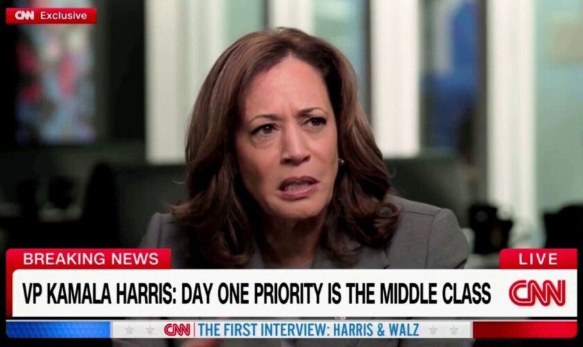 Kamala Harris offers vauge 'Day 1' Oval Office plan in CNN interview: 'A number of things'