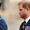 Prinz Harry und Prinz William: Eiszeit dauert an