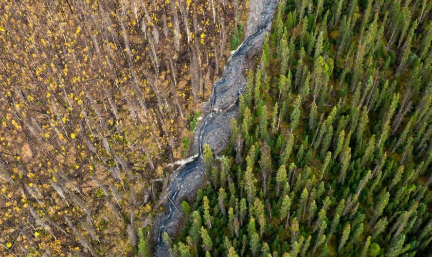 Klimawandel: Viel Licht, viel Schatten