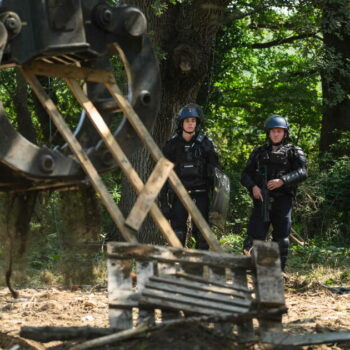 Chantier de l’A69 : la gendarmerie détruit «La Cal’arbre», un campement d’opposants, avant la poursuite de l’abattage des arbres