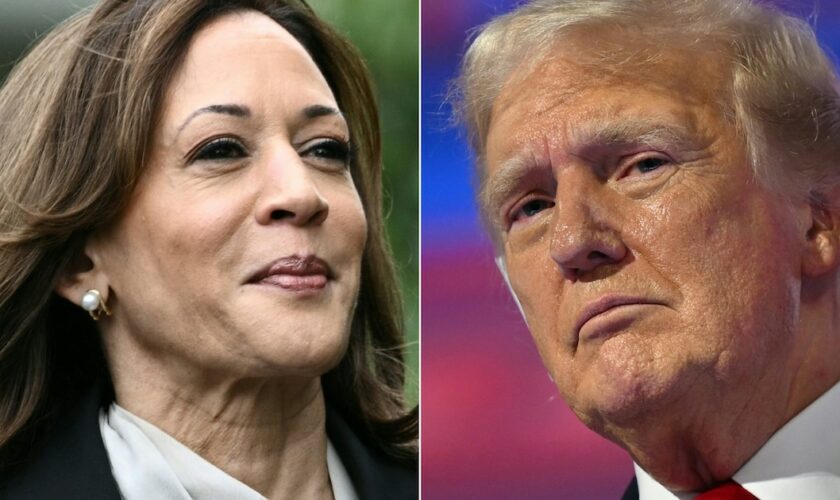 Combinaison de photos du 22 juillet 2024 montrant à gauche la vice-présidente démocrate Kamala Harris et le candidat républicain Donald Trump à droite