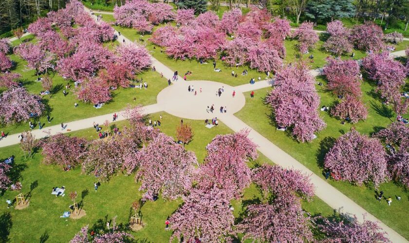 3 virées dans le Grand Paris pour mêler nature, patrimoine et culture