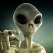 Alien hunter warns we shouldn't try to contact UFOs because 'we're tasty'