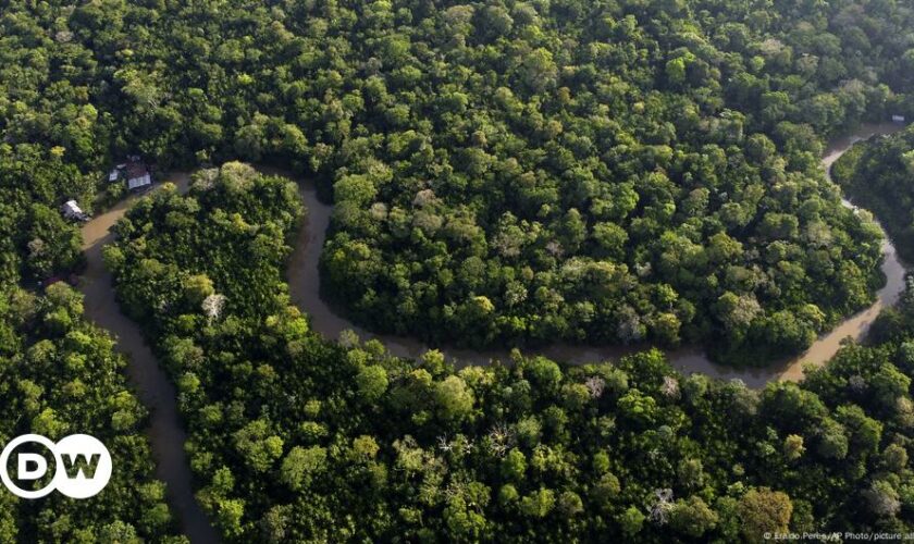 Amazon deforestation rises for the first time in 15 months