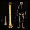 Ancient 'Hobbit man' even smaller than originally thought