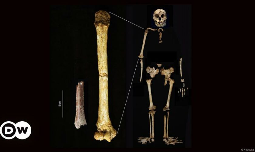 Ancient 'Hobbit man' even smaller than originally thought