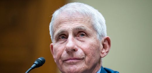 Anthony Fauci leidet an West-Nil-Fieber: »Als hätte mich ein Lastwagen angefahren«