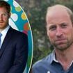 Bearded William is trying to be the David Beckham of the Royal Family, and it just won't do: AN WILSON